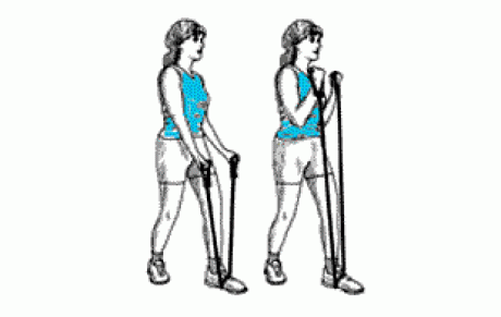 exercice Musculaire N°1