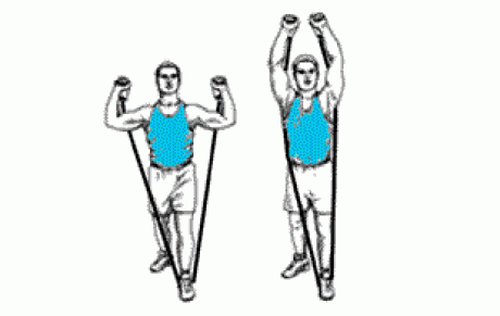 exercice Musculaire N°2