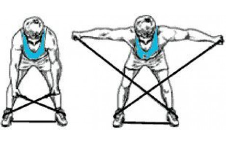 Exercice Musculaire N°4